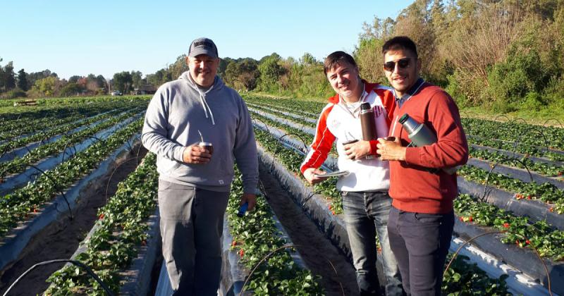 Con otra dinaacutemica llegan otros frutos a la costa santafesina