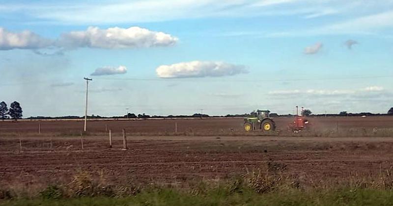 Lote con rastrojo de soja tardía en pleno proceso de siembra de girasol en el sur del departamento General Obligado