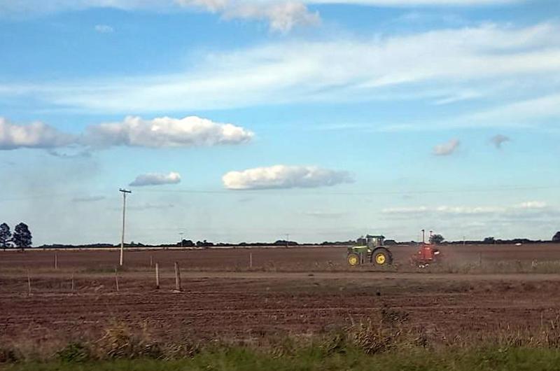 Lote con rastrojo de soja tardía en pleno proceso de siembra de girasol en el sur del departamento General Obligado