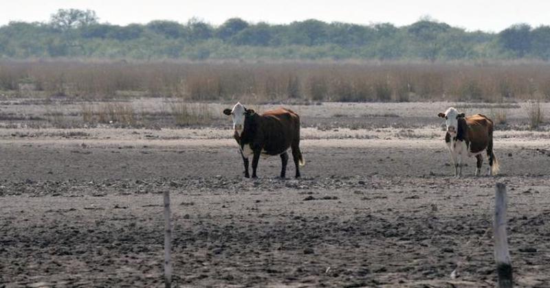 Salioacute la Emergencia Agropecuaria en la provincia pero hay dudas sobre la homologacioacuten nacional