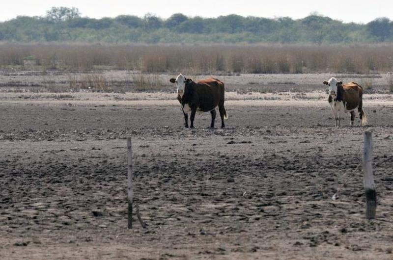 Salioacute la Emergencia Agropecuaria en la provincia pero hay dudas sobre la homologacioacuten nacional