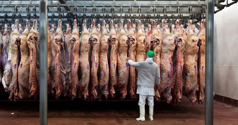 Las exportaciones de carne bovina fueron reacutecord en septiembre y el 2024 podriacutea quedar en la historia