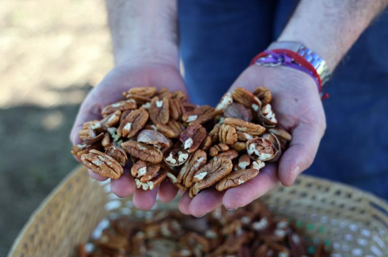 Cumbre de pecaneros en Santa Fe