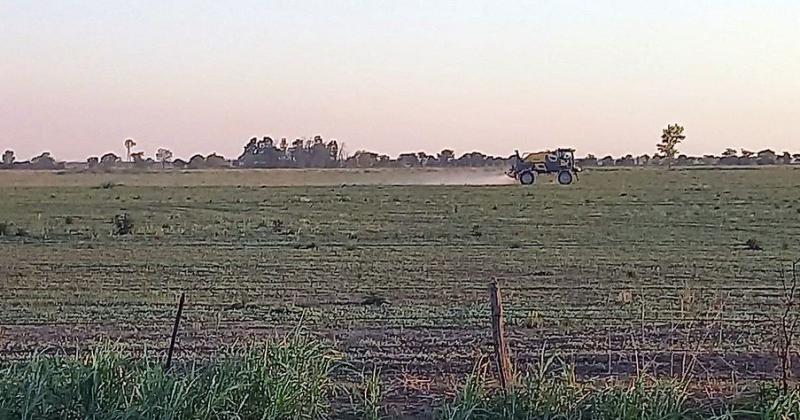 Lote con rastrojo de soja tardía en aplicación de herbicida para futura siembra en el centro oeste del departamento Las Colonias