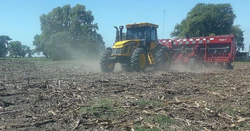 Lote con rastrojo de maíz tardío en pleno proceso de siembra de soja temprana en el centro del departamento Castellanos