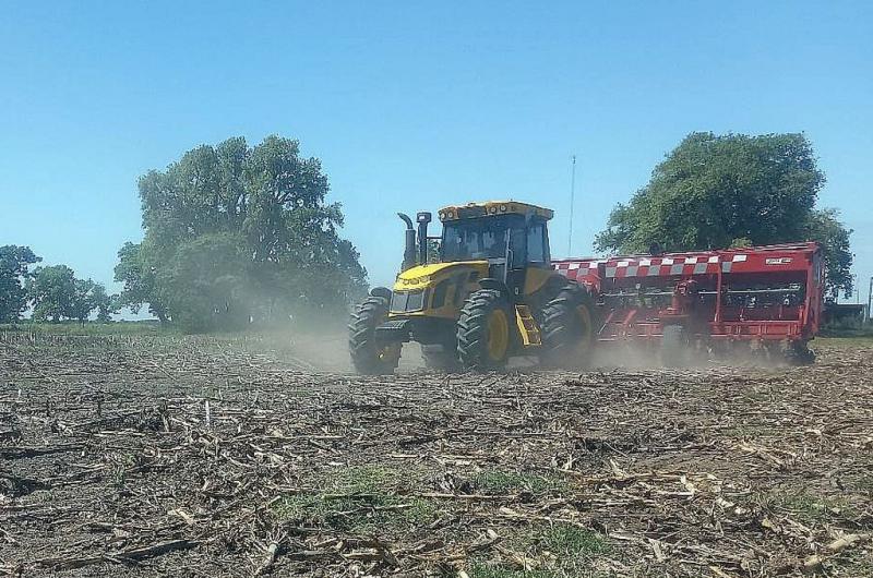 Lote con rastrojo de maíz tardío en pleno proceso de siembra de soja temprana en el centro del departamento Castellanos